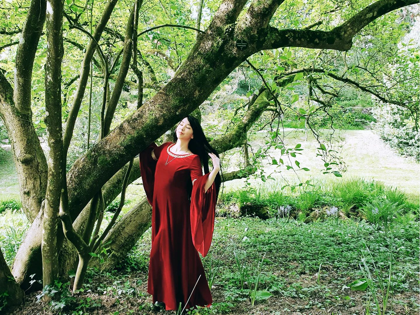 The Arwen Red Velvet Gown