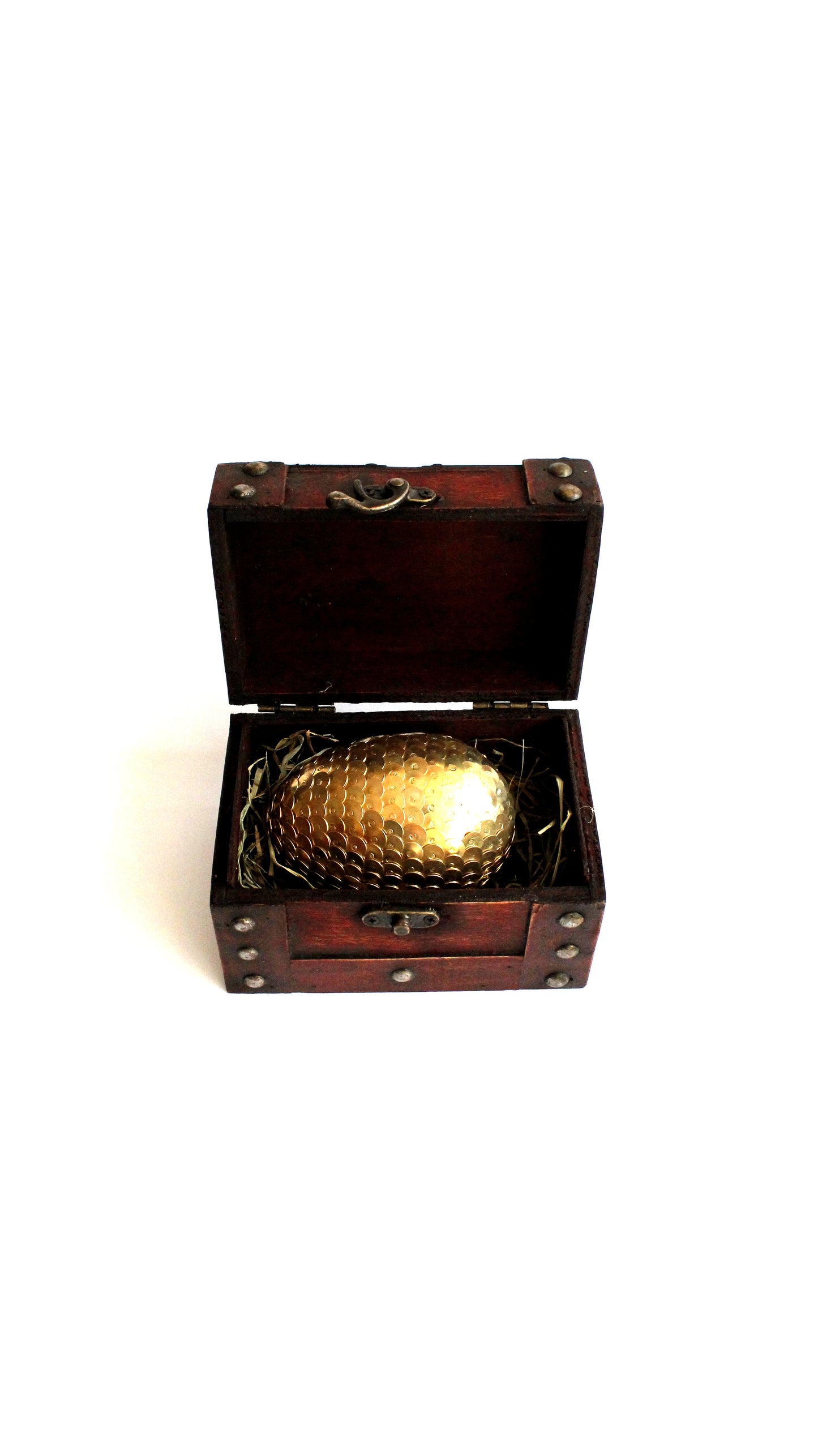 The Dragon Egg
