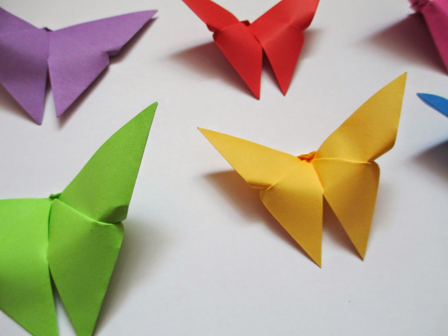The Origami Butterflies