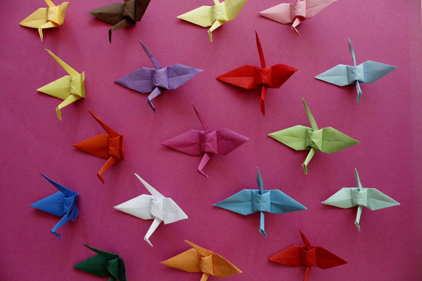The Origami Cranes in Mixed Colors