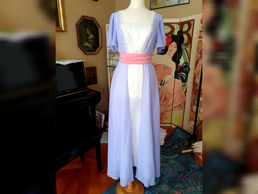 The Rose DeWitt Bukater Shipwreck Dress